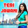 About Teri Jawani Song